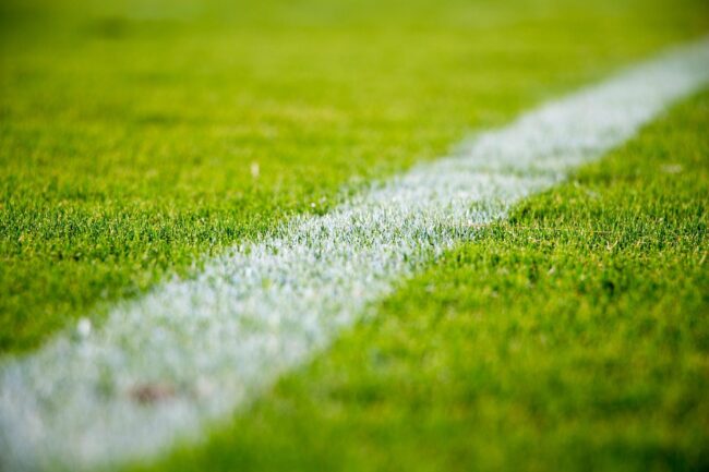 grass-g9a55f6870_1920 Manchester-City-Liverpool-Premier-League
