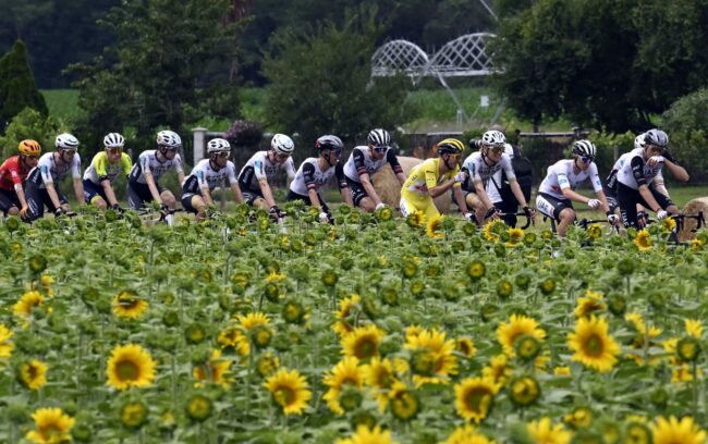 clasificación-general-Tour-de-Francia-2023